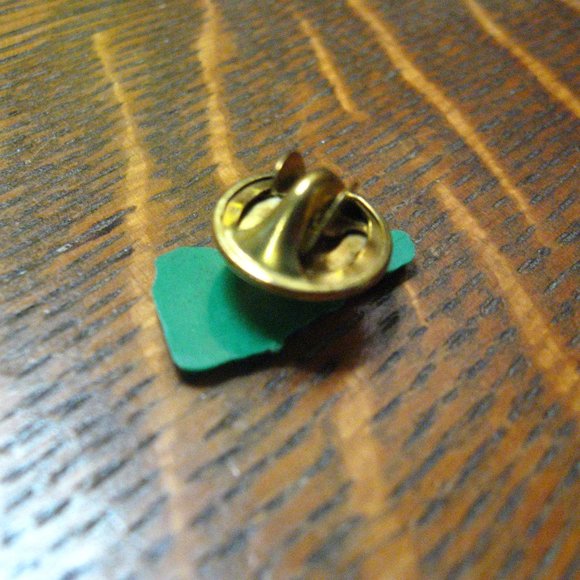 🇺🇸 New Hampshire State Souvenir Lapel Pin - Picture 4 of 4